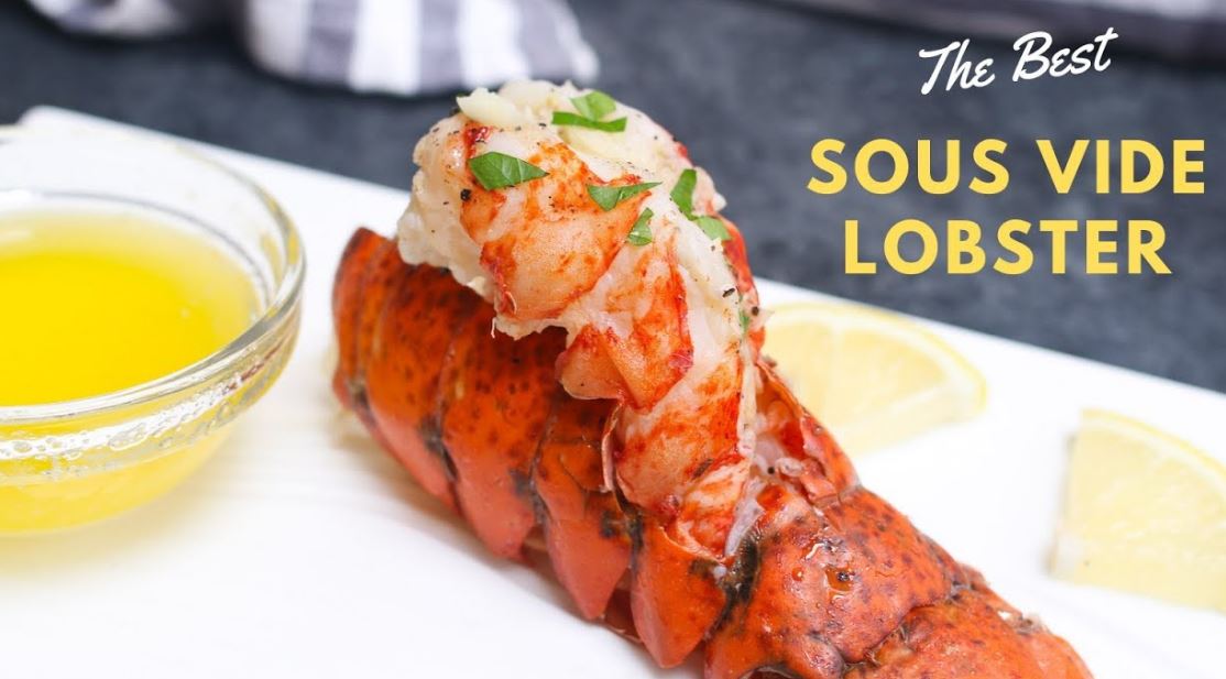 lobster