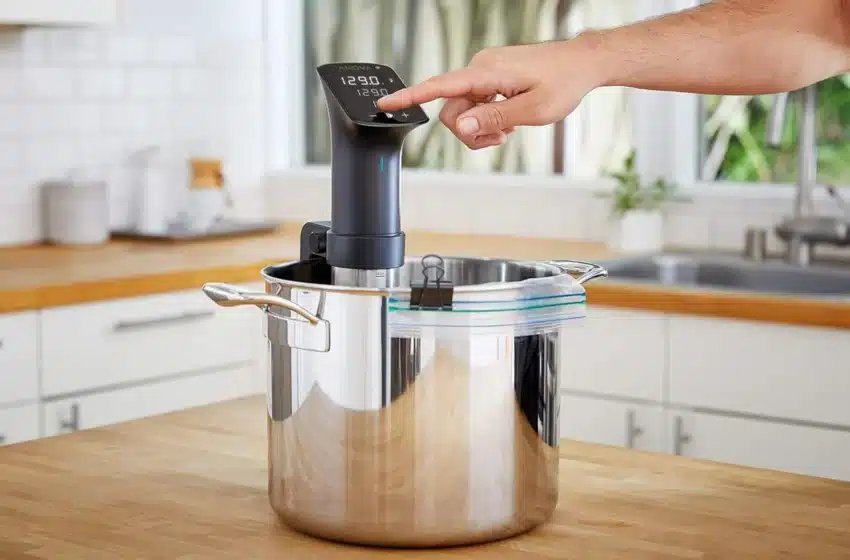  Anova Precision Cooker Pro Review: Sous Vide Perfection