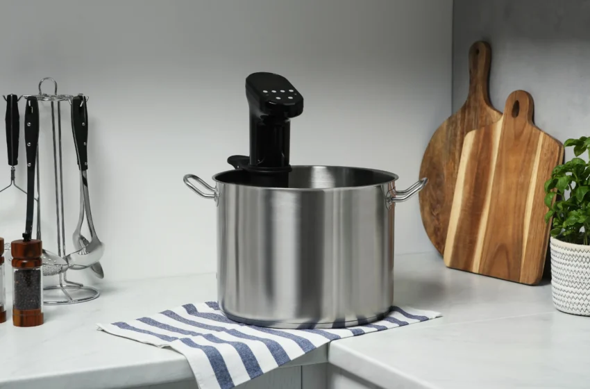  Best Buy Sous Vide Cooker: Finding The Perfect Appliance